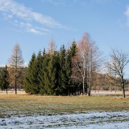 Alicjowka - Domek Marciszow Luaran gambar