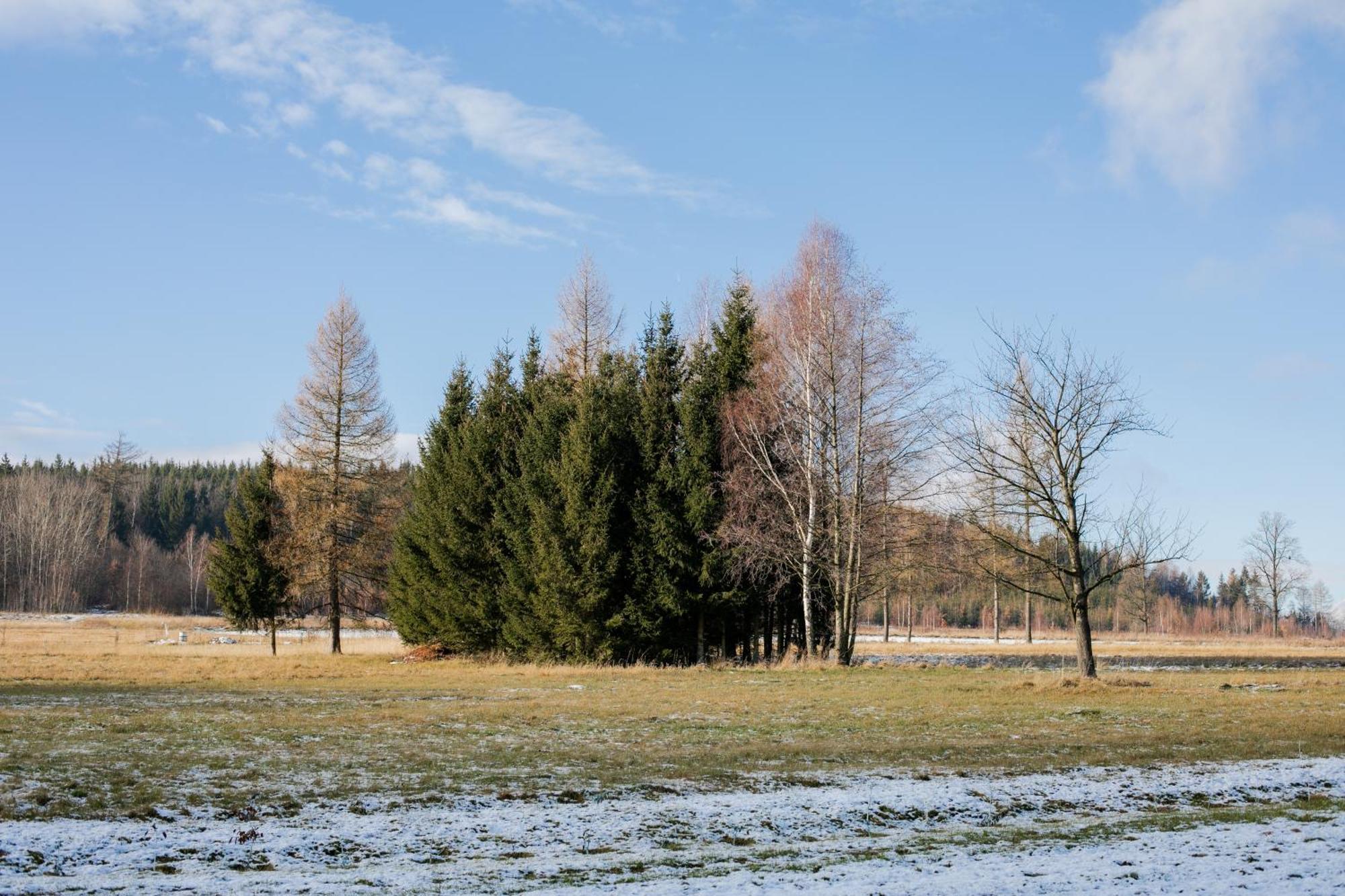 Alicjowka - Domek Marciszow Luaran gambar